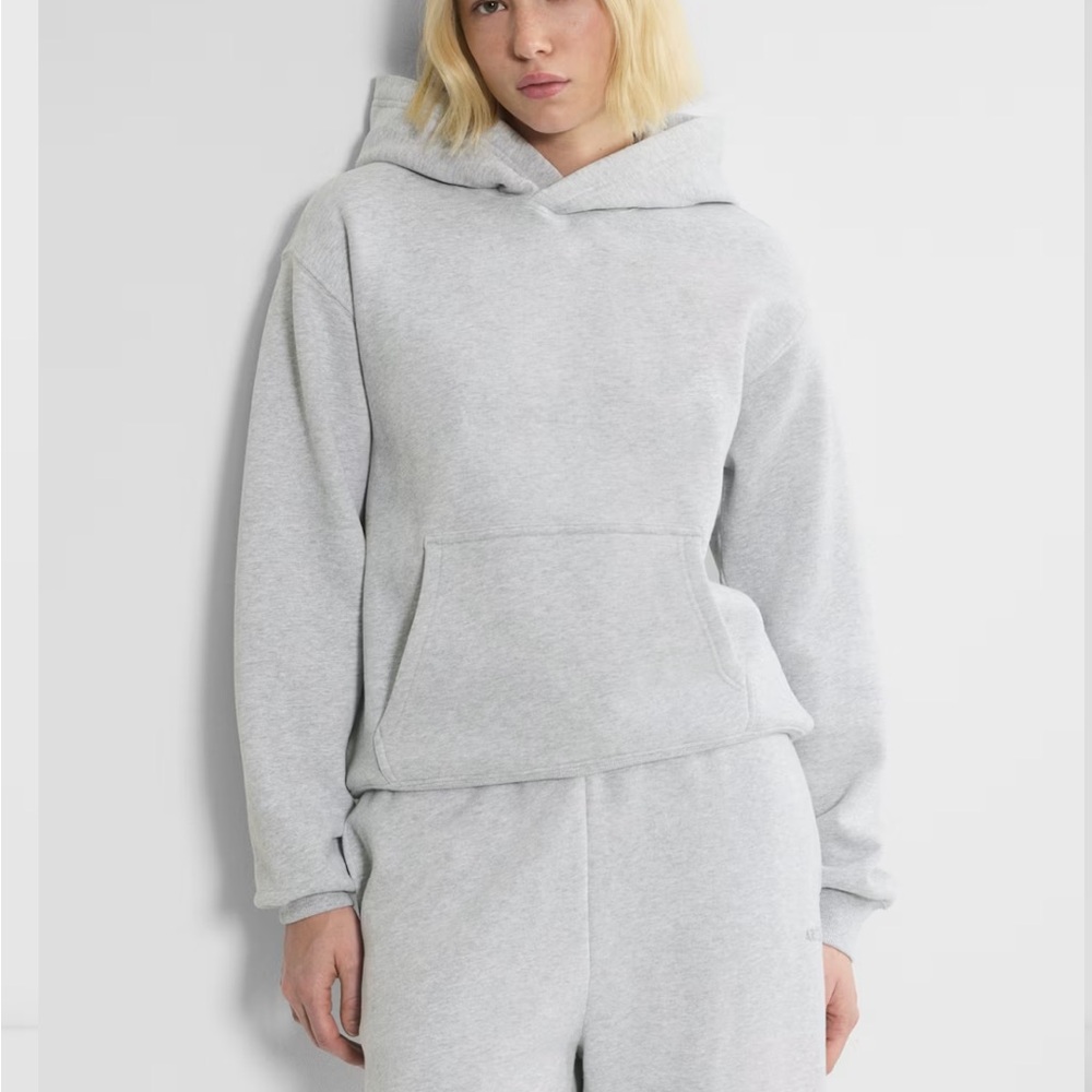Women's Gray Aritzia Boyfriend Hoodie